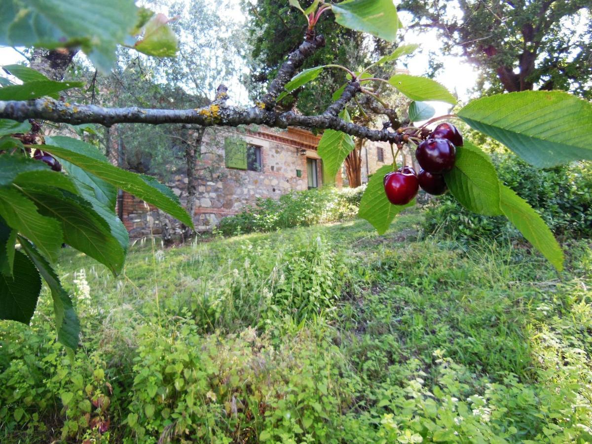 Villa La Fontaiola Le Piazze Exterior foto