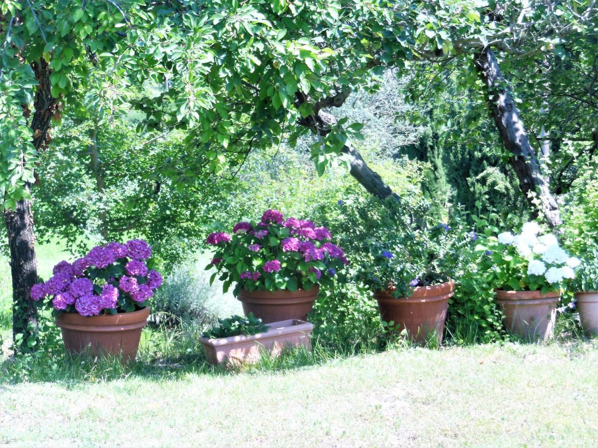 Villa La Fontaiola Le Piazze Exterior foto