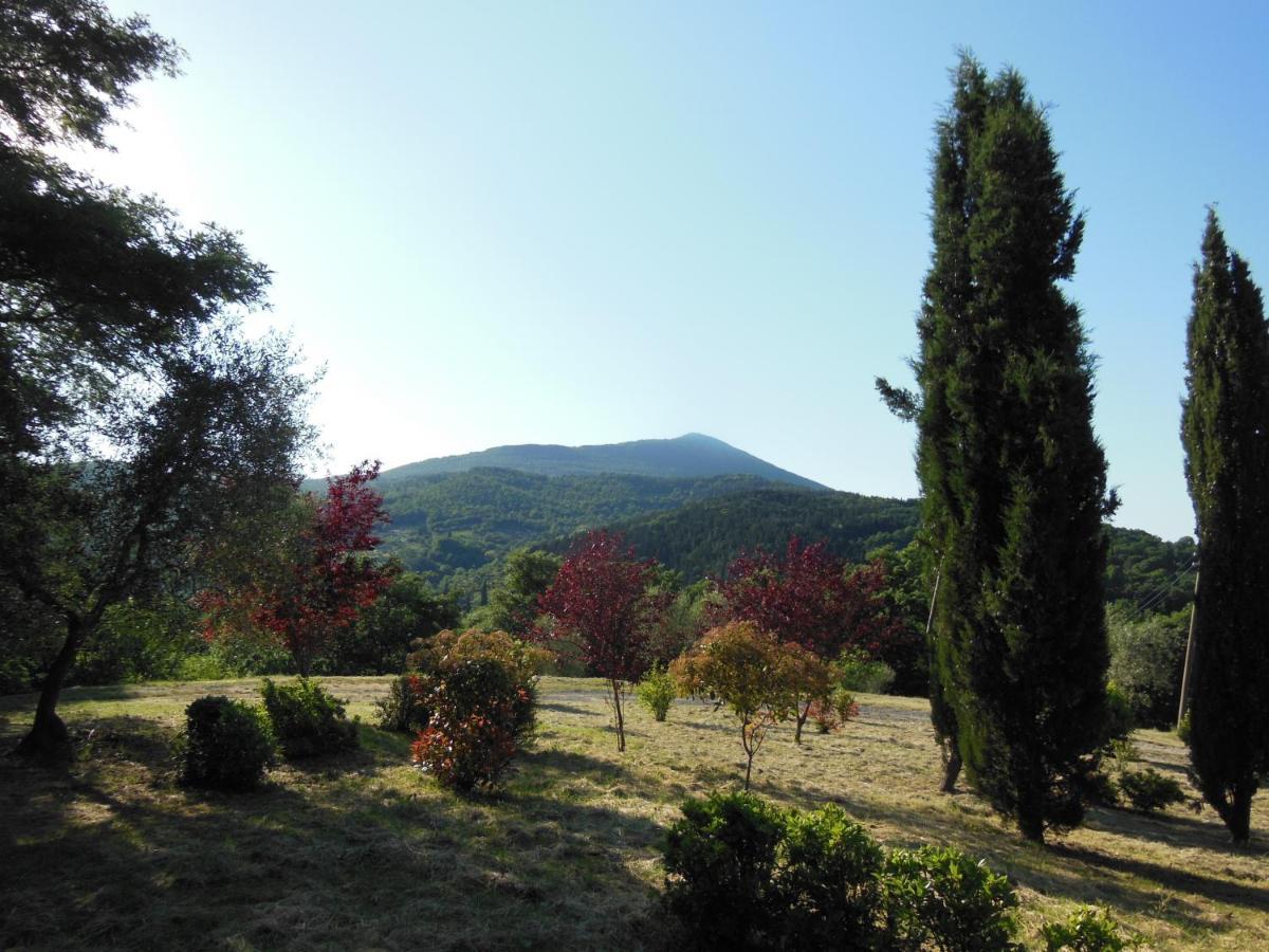 Villa La Fontaiola Le Piazze Exterior foto